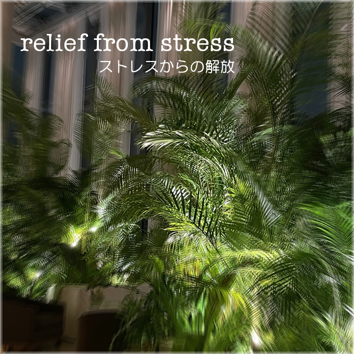 MAToBe MASK　ストレスからの解放